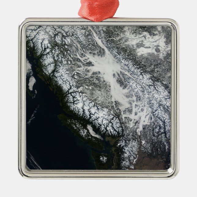 Fog and snow in British Columbia Metal Tree Decoration (Front)