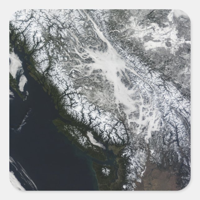 Fog and snow in British Columbia Square Sticker (Front)