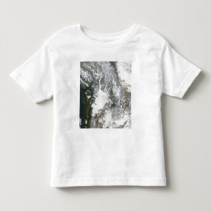 Fog and snow in the Pacific Northwest (true col Toddler T-Shirt