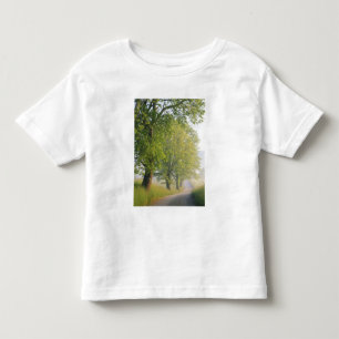 Fog covered road, Cades Cove, Great Smoky Toddler T-Shirt