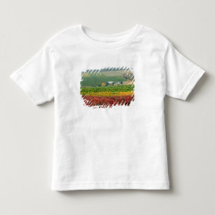 Fog creeps over Gehring Brothers Winery nestled Toddler T-Shirt