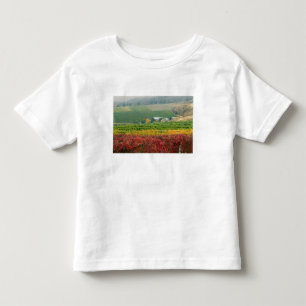 Fog creeps over Gehring Brothers Winery nestled Toddler T-Shirt