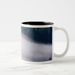 Fog drifts under the Deception Pass bridge at Two-Tone Coffee Mug