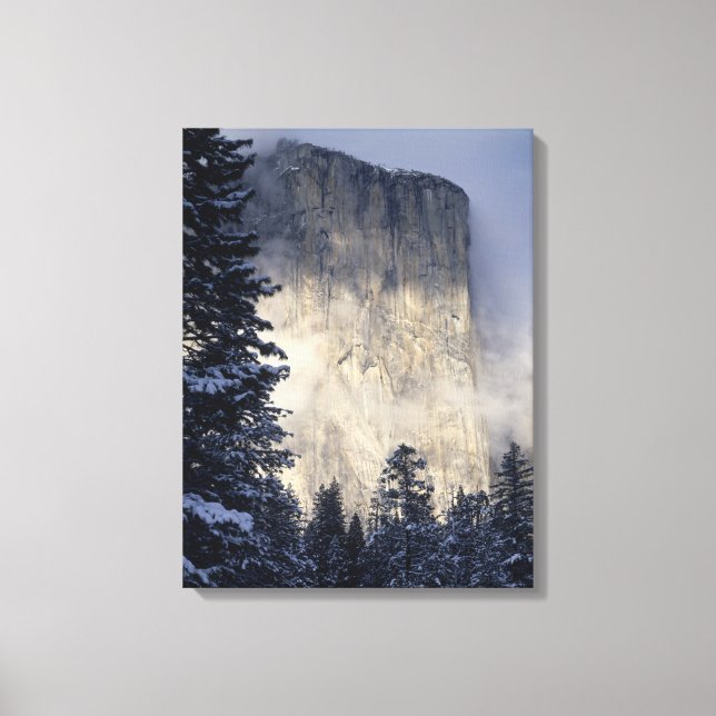 Fog Enveloping Mountain Canvas Print (Front)