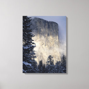 Fog Enveloping Mountain Canvas Print