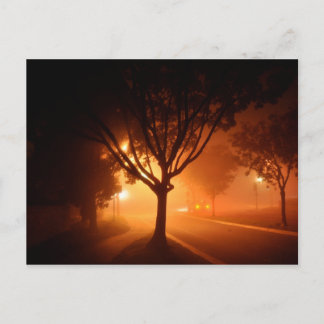 Fog Mystery Tree Postcard