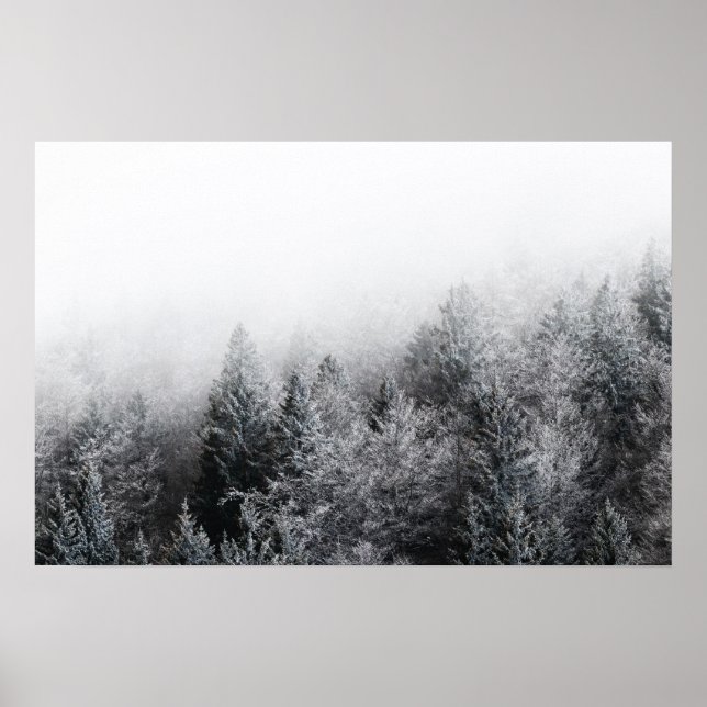 Fog over frozen forest poster (Front)