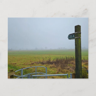 Fog Postcard
