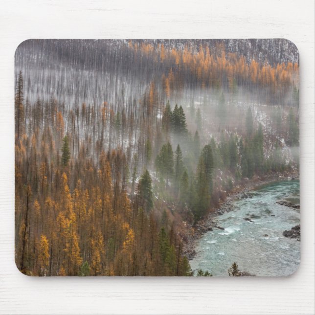 Fog Rolls In On Autumn Larch Trees Mouse Mat (Front)