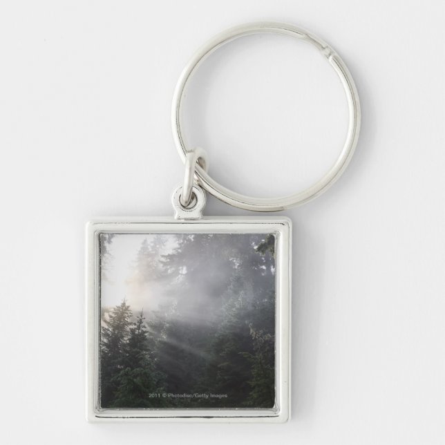 Fog & Sun Beams in a Washington Forest Key Ring (Front)