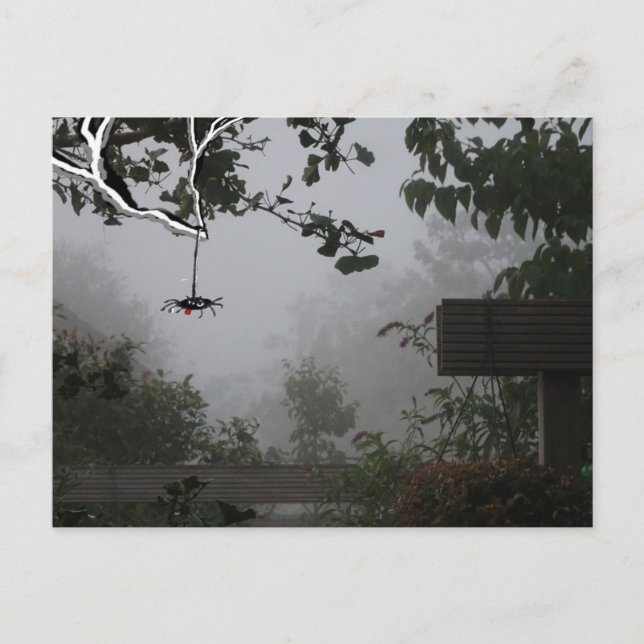 Foggy Autumn Garden with Spider DIY Postcard (Front)
