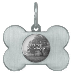 Foggy Autumn Morning Grayscale Pet Tag