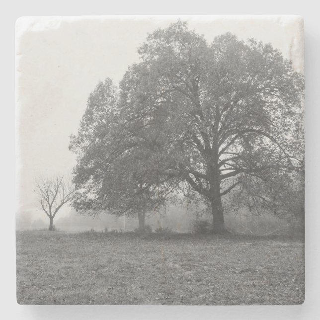 Foggy Autumn Morning Grayscale Stone Coaster (Front)