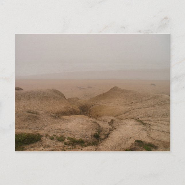 Foggy Beach Postcard (Front)