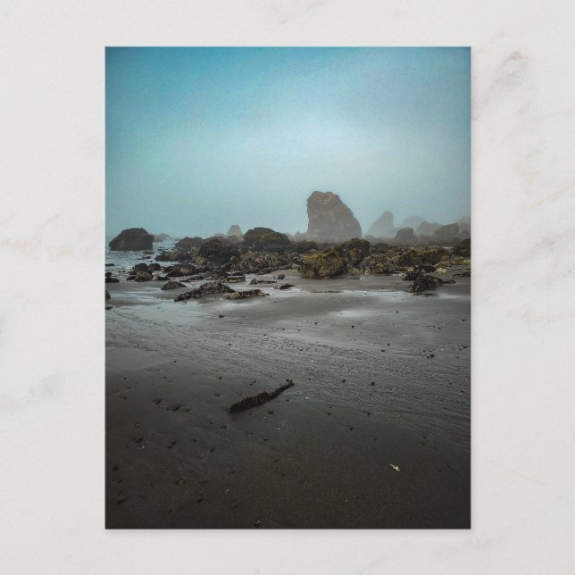 Foggy Beach with Sea Stacks Postcard (Front)