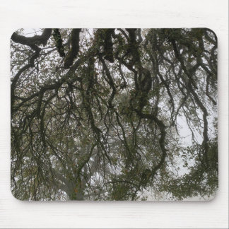 Foggy Blue Oaks Mouse Mat