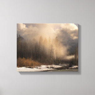 Foggy Day #2 Canvas Print