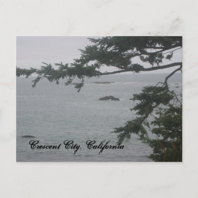 Foggy Day in Crescent City Postcard (Front)