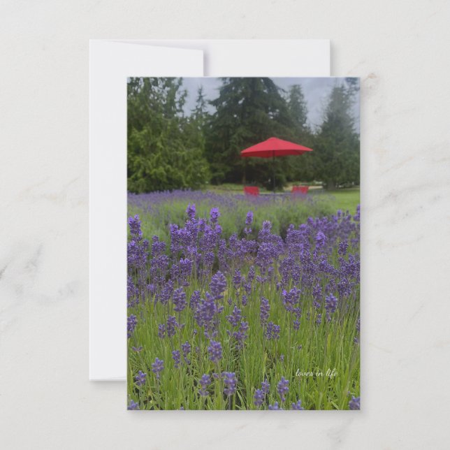 Foggy Day, Lavenders & Red Umbrella Card (Front)