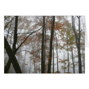 Foggy Fall in Pennsylvania Autumn Nature