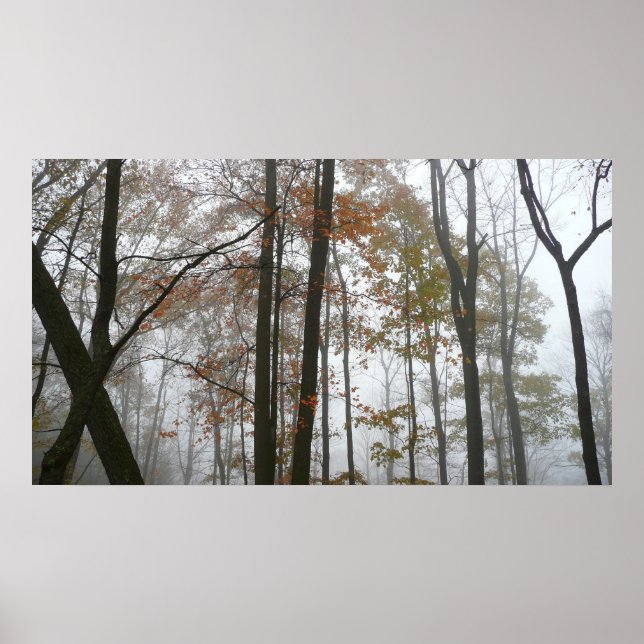 Foggy Fall in Pennsylvania Autumn Nature Poster (Front)