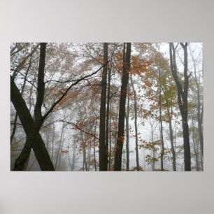 Foggy Fall in Pennsylvania Autumn Nature Poster
