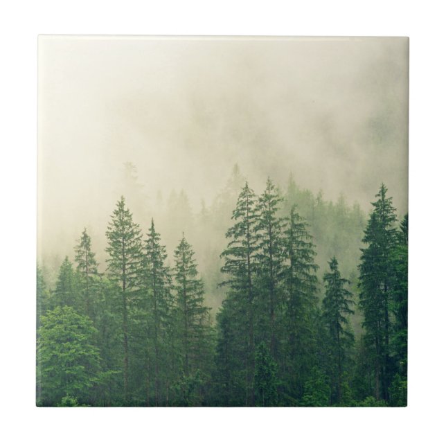 Foggy Forest Winter Trees Tile (Front)