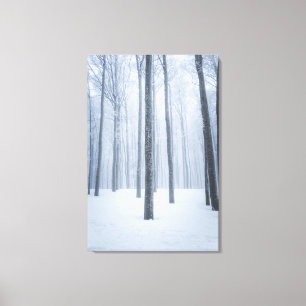 Foggy frozen winter forest canvas print