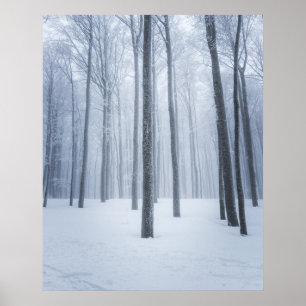 Foggy frozen winter forest poster