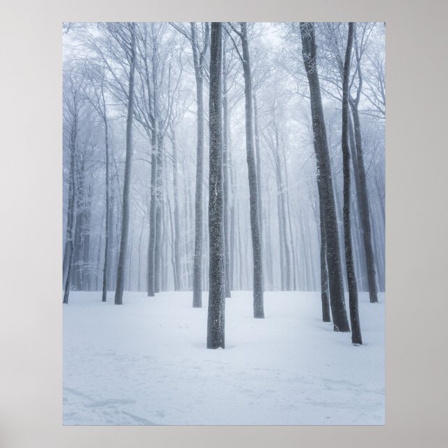 Foggy frozen winter forest poster (Front)