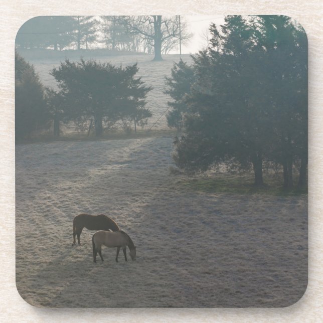 Foggy Grazing Coaster (Front)