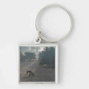 Foggy Grazing Key Ring