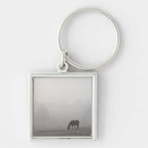 Foggy Grazing Key Ring
