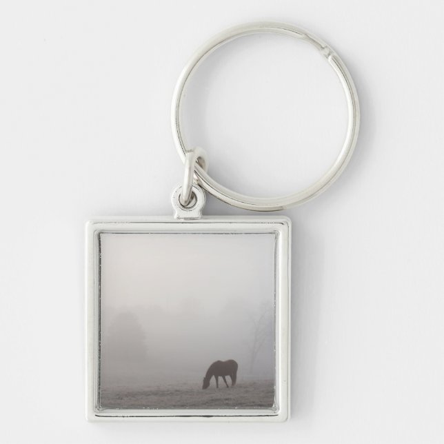 Foggy Grazing Key Ring (Front)