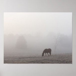 Foggy Grazing Poster