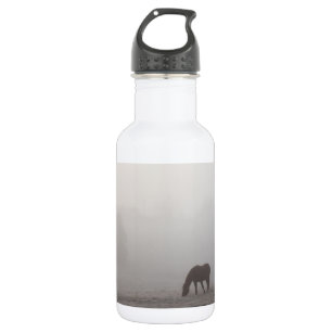 Foggy Grazing Stainless Steel Water Bottle