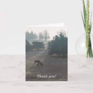 Foggy Grazing Thank You Card