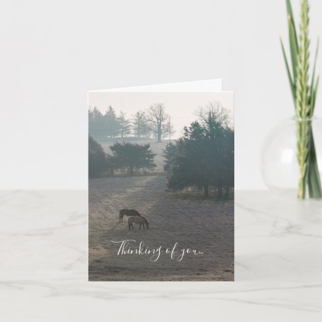 Foggy Grazing Thinking Of You Card (Front)
