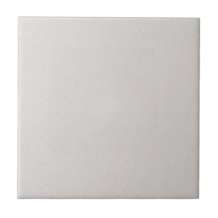 Foggy Grey Solid Flecked Ceramic Tile