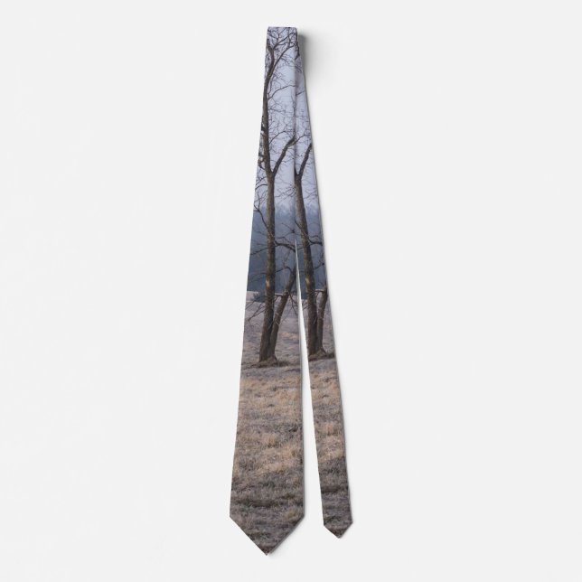 Foggy Meadow Neck Tie (Front)