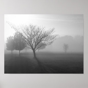 Foggy Misty Morning in the Ozarks Poster