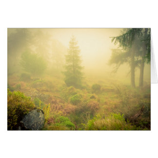Foggy Morning in Wicklow Mountains