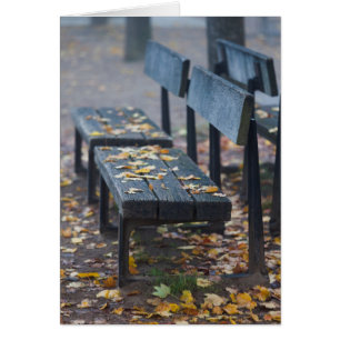 Foggy morning park bench, Germany