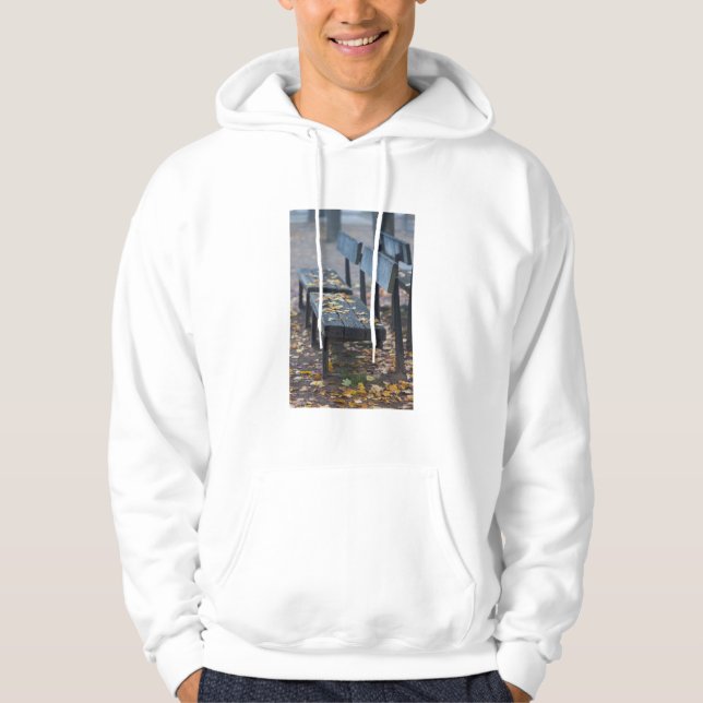 Foggy morning park bench, Germany Hoodie (Front)