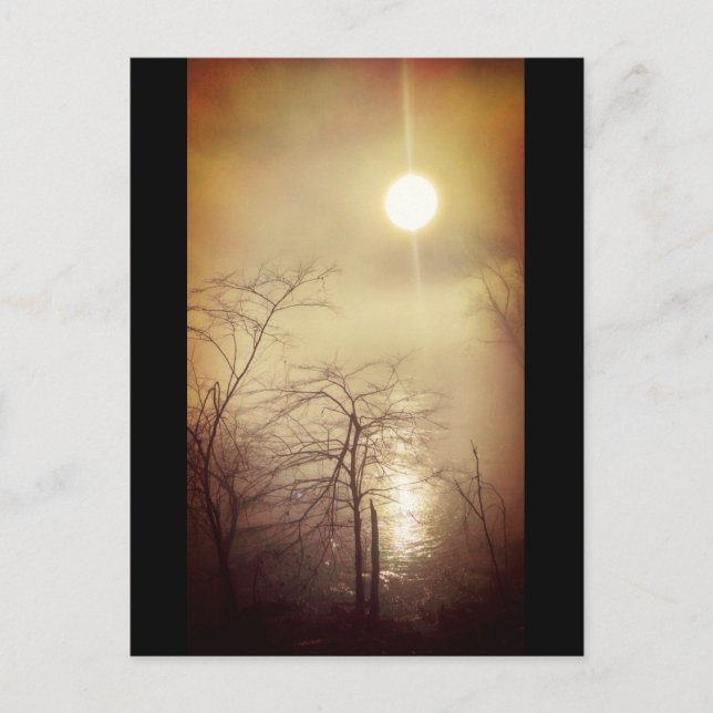 Foggy Morning Postcard (Front)