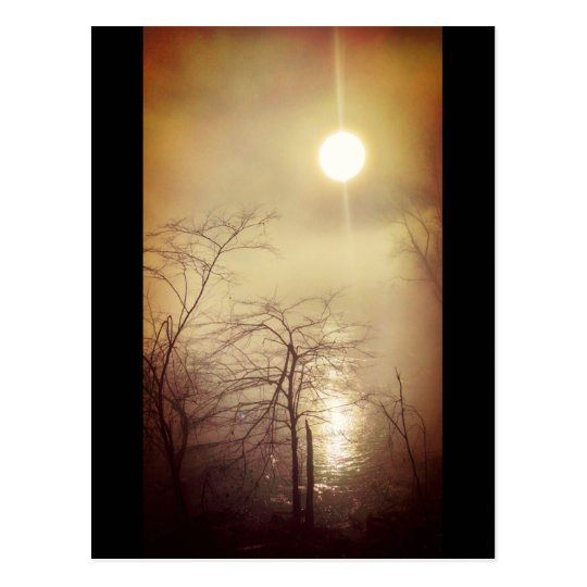 Foggy Morning Postcard