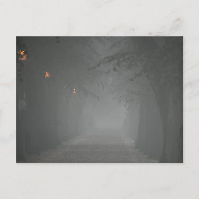 Foggy Morning Postcard (Front)