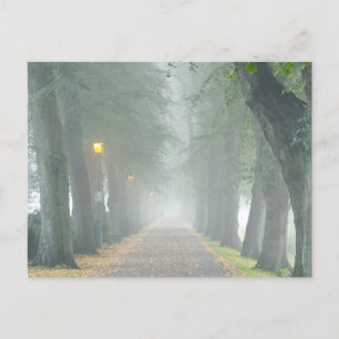 Foggy Morning Postcard
