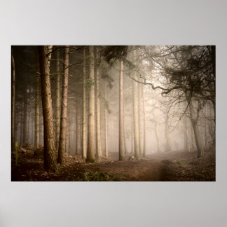 Foggy Morning Rushmere Country Park (0842) Poster