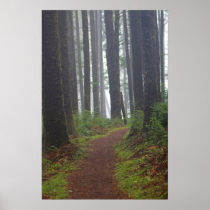 Foggy morning, (Semi-Gloss) Poster
